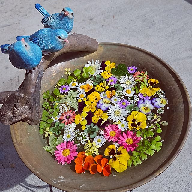 mocomocoさんの実例写真