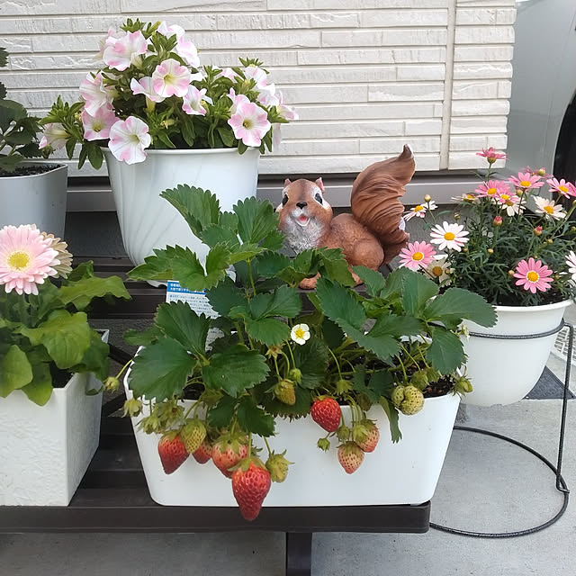 yumeさんの実例写真