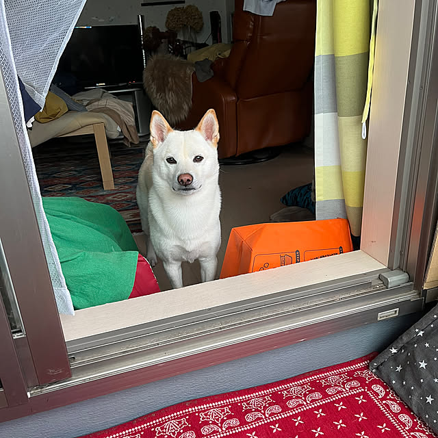 Toyomiさんの部屋