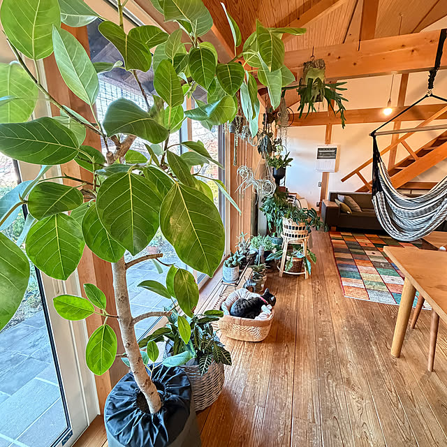 onsix777さんの実例写真