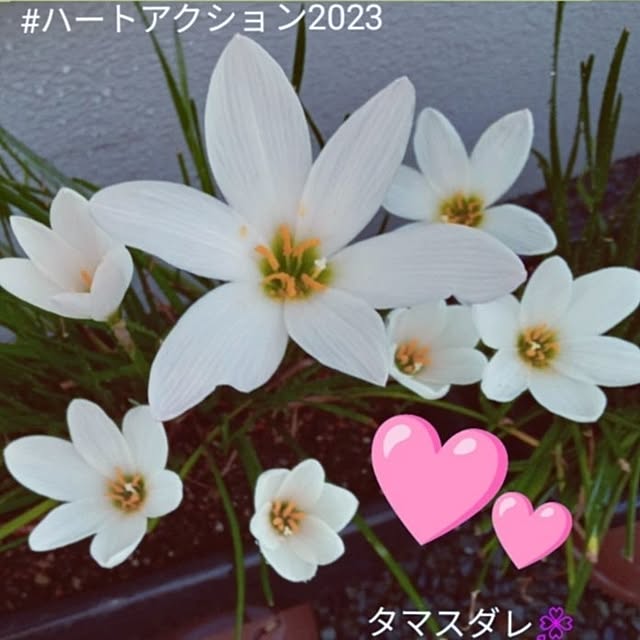 mocomocoさんの部屋