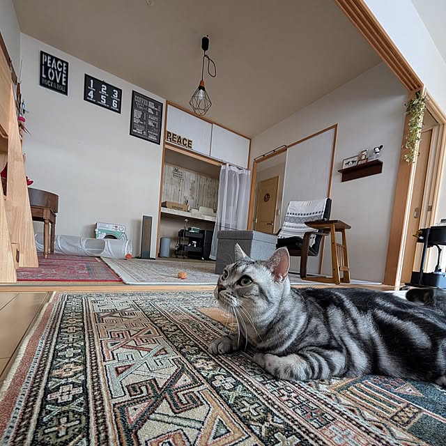 lovepeaceさんの部屋