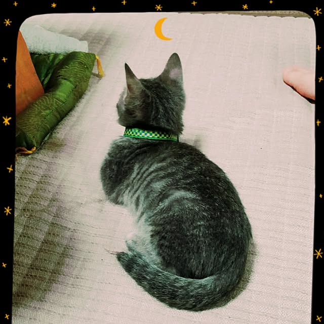 oyumiさんの実例写真