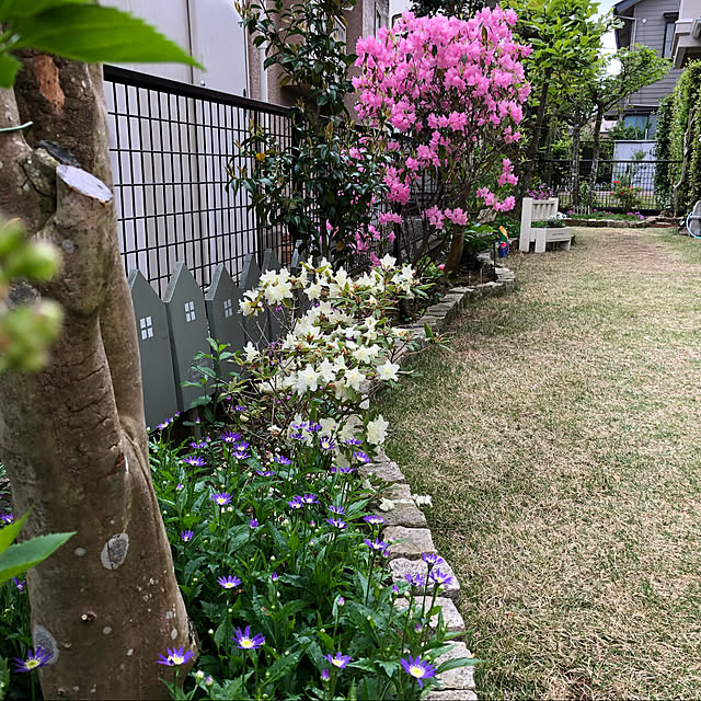 maron915さんの実例写真