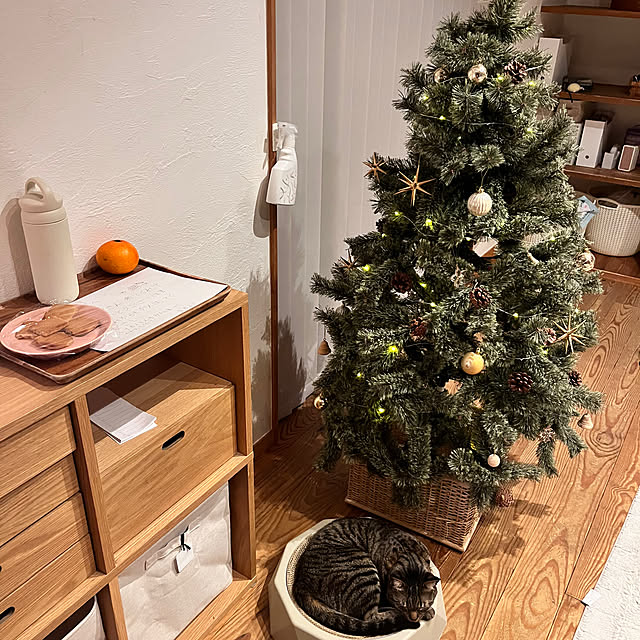 puu.tuuliさんの部屋