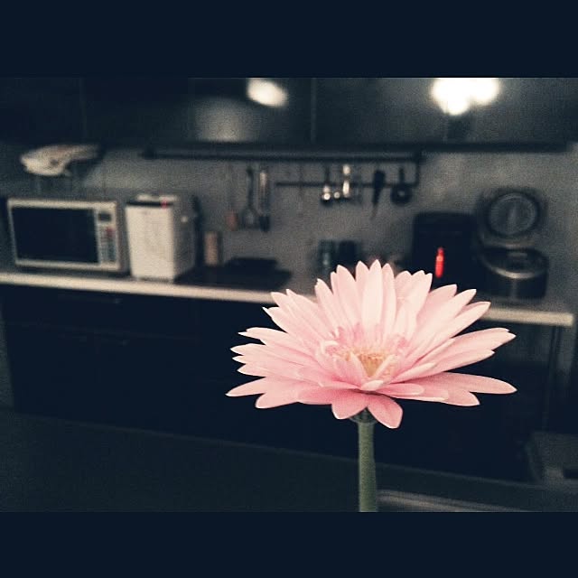 aknb08さんの実例写真