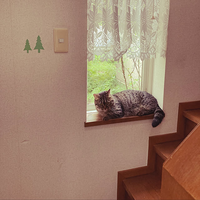 nocomomさんの実例写真