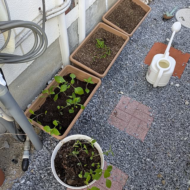 asaさんの部屋