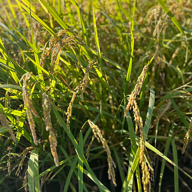 banbinaさんの部屋