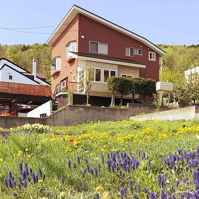 Nozomiさんの実例写真