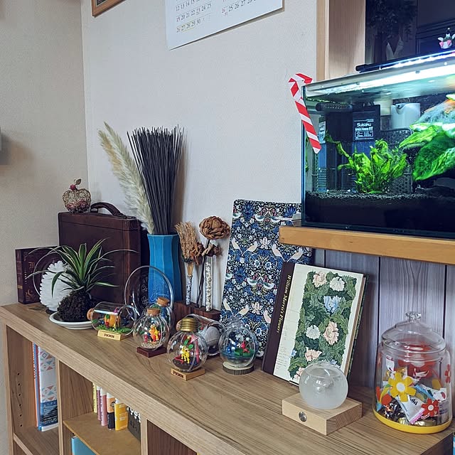 chiz3さんの部屋