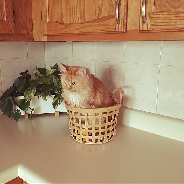 Keiさんの実例写真