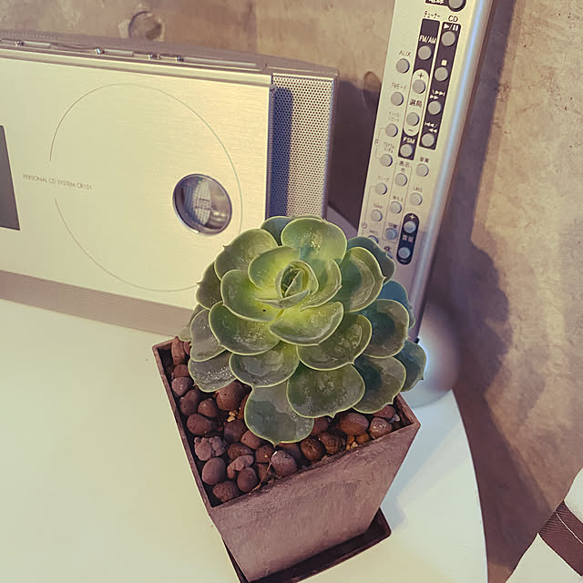 takokaiさんの実例写真