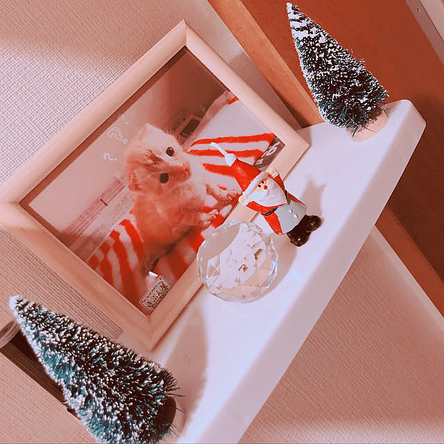 玄関/入り口/プチクリスマス/クリスマス/記録用pic/Instagram...などのインテリア実例 - 2018-11-08 06:15:11