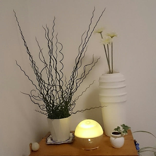 ROSEさんの実例写真