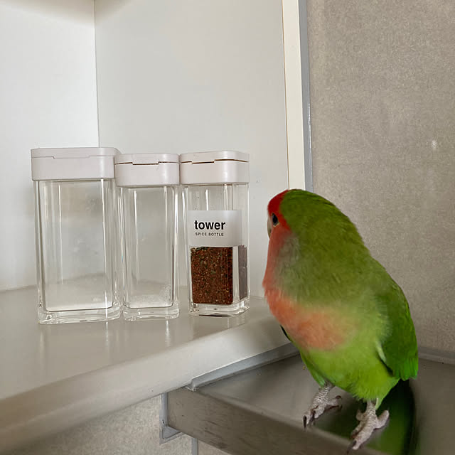 toratanさんの実例写真
