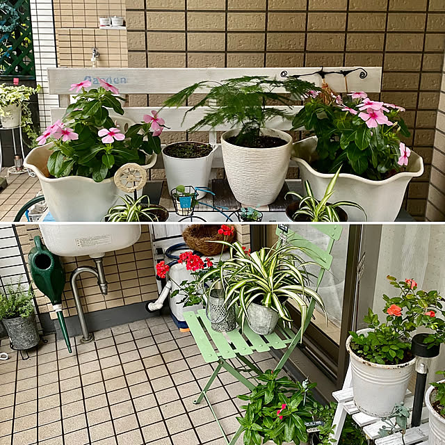 YuuKoさんの実例写真