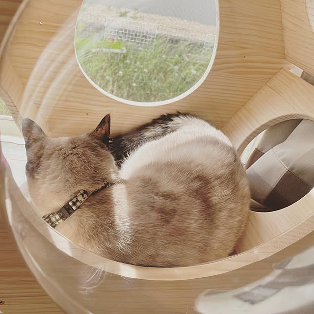 yu-iさんの部屋