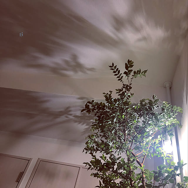 Keyさんの実例写真