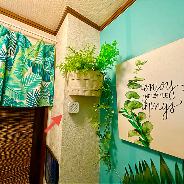 tututu0204さんの部屋