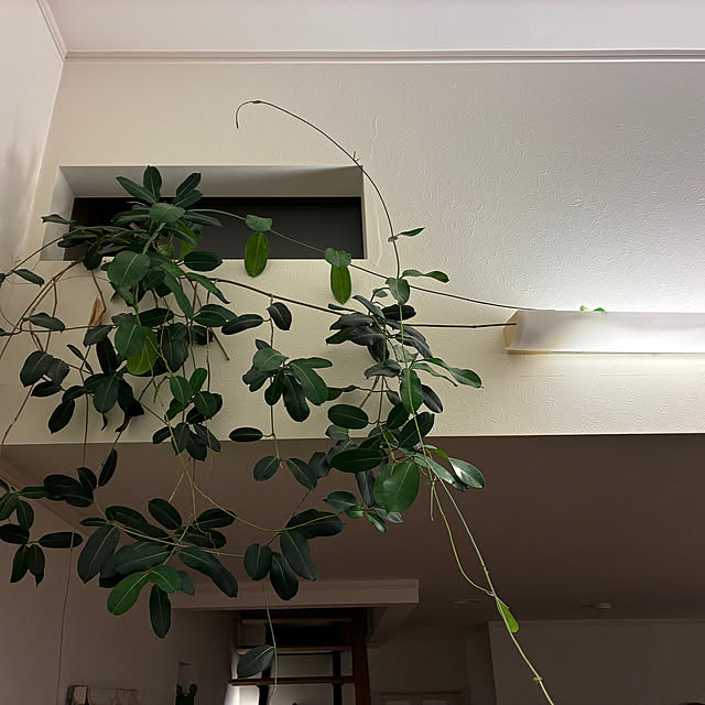 Hisashiさんの部屋