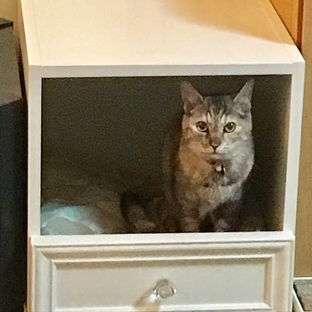 nerogaraginさんの実例写真