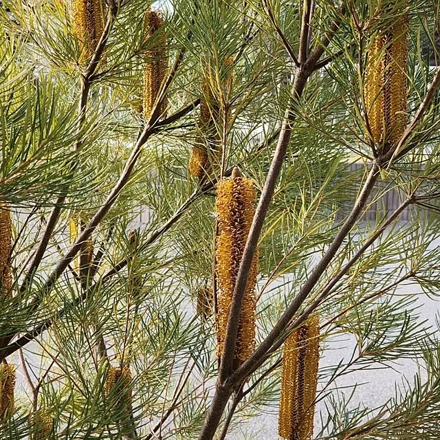 chiii13さんの部屋