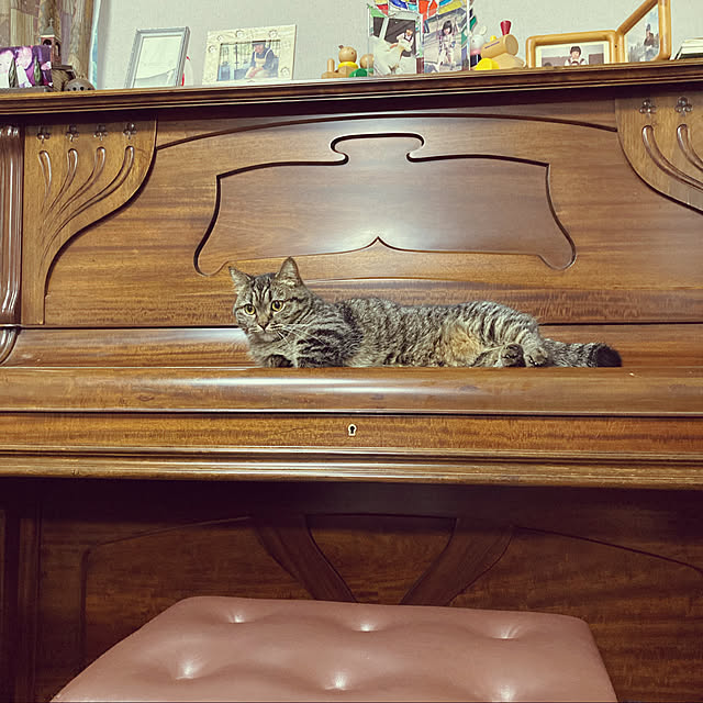 nocomomさんの実例写真