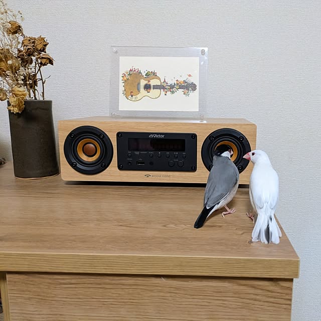 escargotさんの実例写真