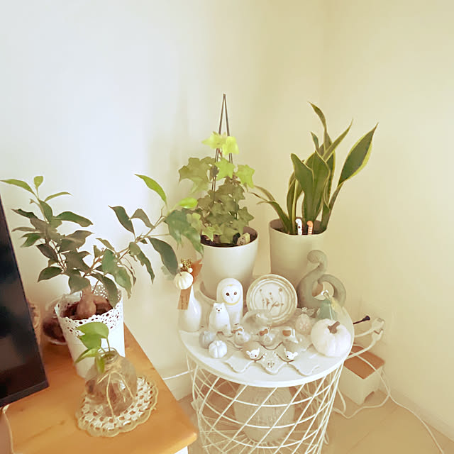 akiko-ovさんの部屋