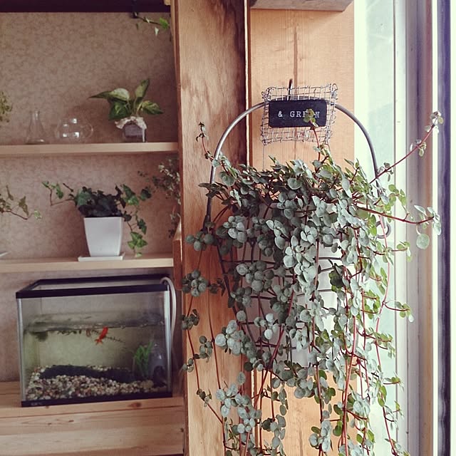 miporin0711さんの実例写真