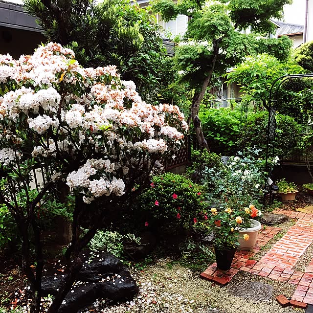 m-ktry.0530mikaさんの実例写真
