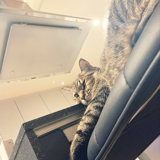 Momoさんの実例写真
