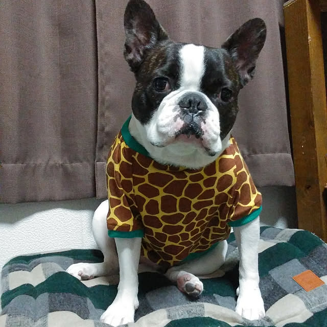 sidkerorin67さんの実例写真