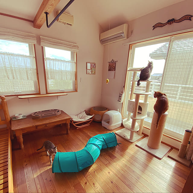 mako0301さんの実例写真