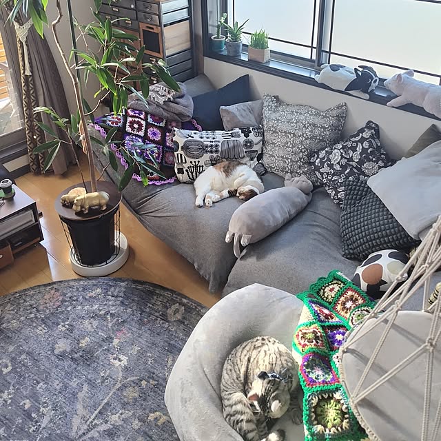 hiro3さんの部屋