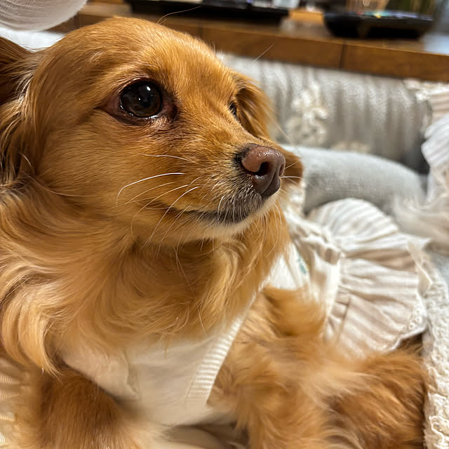 chachamamaさんの部屋
