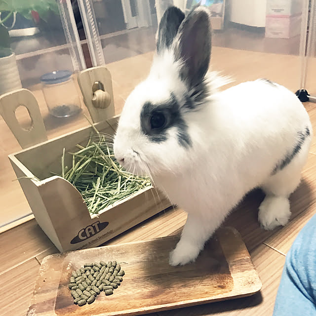 naaa.sakaiさんの実例写真