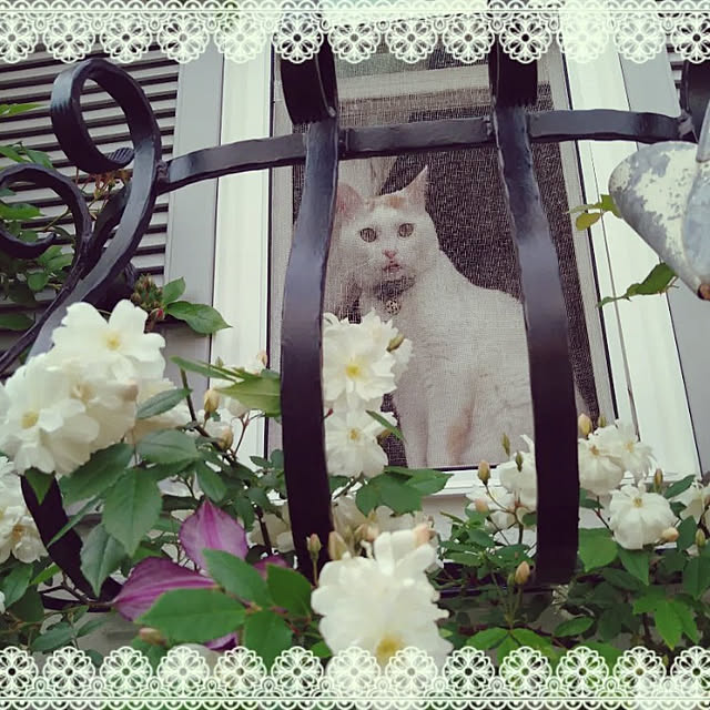 kiyosukeさんの実例写真