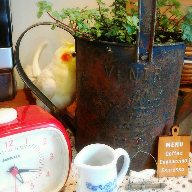keikorinさんの実例写真