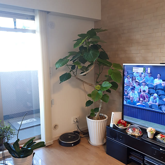 実例写真