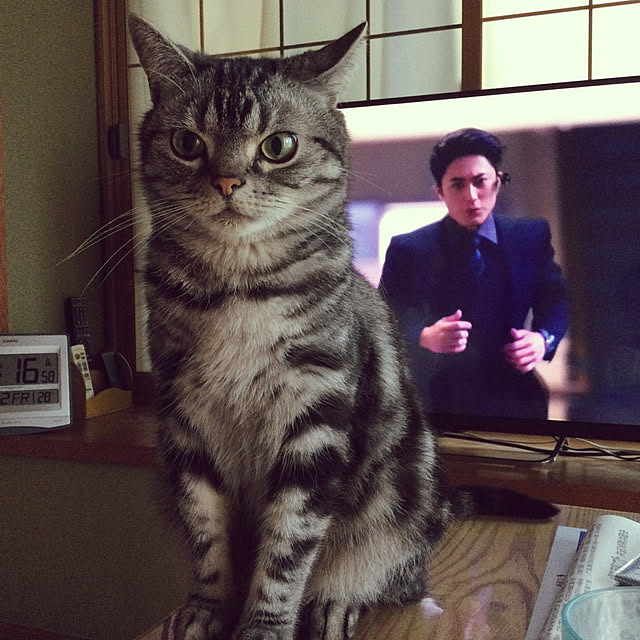 richanさんの実例写真