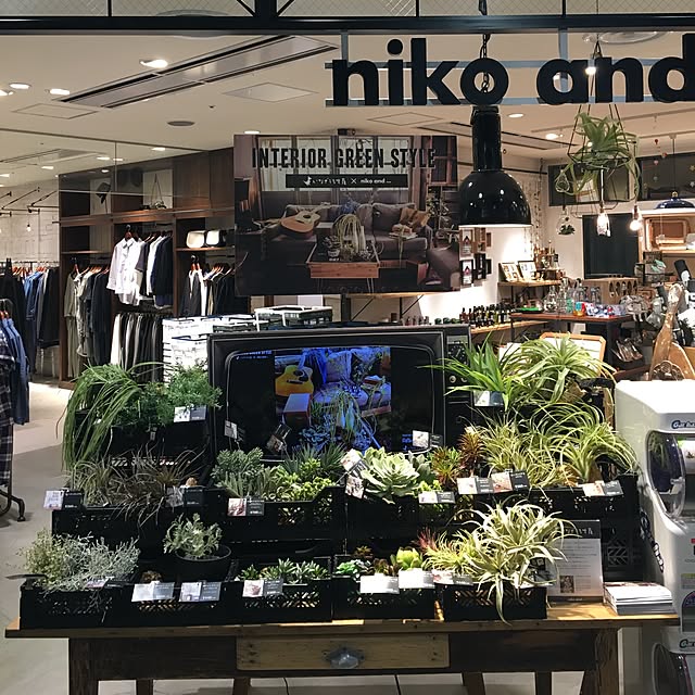 実例写真