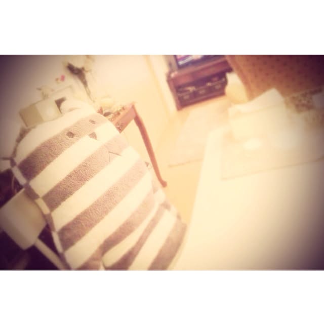 ciel...antiqueさんの実例写真