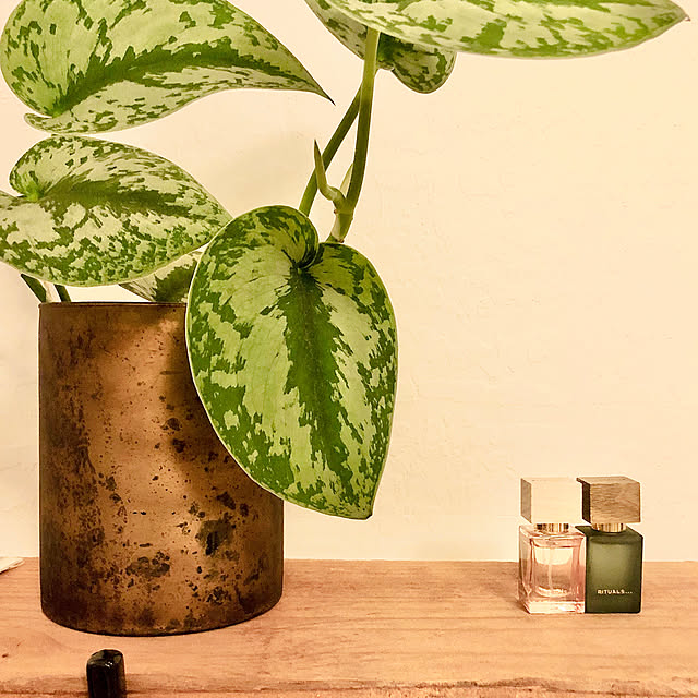 life-with-greenさんの実例写真