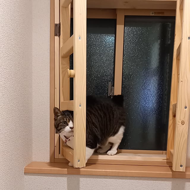 civicglさんの部屋