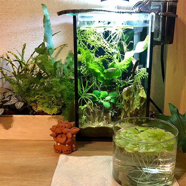 Rororiさんの実例写真