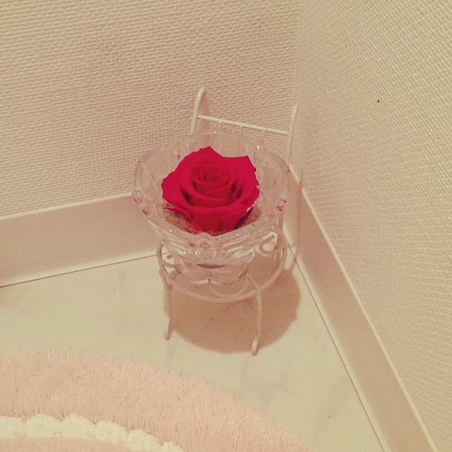 noaさんの実例写真