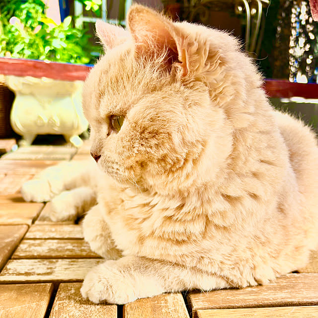 naokoさんの部屋