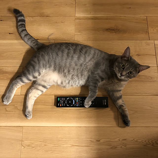 kuu511さんの実例写真